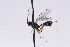  ( - CollHH2750)  @11 [ ] Creative Commons  Attribution Non-Commercial Share-Alike (2019) Hakon Haraldseide Unspecified