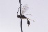  ( - CollHH2755)  @11 [ ] Creative Commons  Attribution Non-Commercial Share-Alike (2019) Hakon Haraldseide Unspecified
