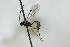  ( - CollHH2790)  @11 [ ] Creative Commons  Attribution Non-Commercial Share-Alike (2019) Hakon Haraldseide Unspecified