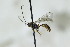  ( - CollHH2791)  @11 [ ] Creative Commons  Attribution Non-Commercial Share-Alike (2019) Hakon Haraldseide Unspecified