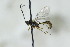  ( - CollHH2792)  @11 [ ] Creative Commons  Attribution Non-Commercial Share-Alike (2019) Hakon Haraldseide Unspecified