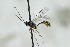  ( - CollHH2793)  @11 [ ] Creative Commons  Attribution Non-Commercial Share-Alike (2019) Hakon Haraldseide Unspecified
