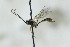  ( - CollHH2794)  @11 [ ] Creative Commons  Attribution Non-Commercial Share-Alike (2019) Hakon Haraldseide Unspecified