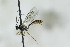 ( - CollHH2795)  @11 [ ] Creative Commons  Attribution Non-Commercial Share-Alike (2019) Hakon Haraldseide Unspecified