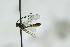  ( - CollHH2797)  @11 [ ] Creative Commons  Attribution Non-Commercial Share-Alike (2019) Hakon Haraldseide Unspecified