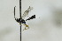  ( - CollHH2803)  @11 [ ] Creative Commons  Attribution Non-Commercial Share-Alike (2019) Hakon Haraldseide Unspecified