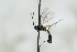  ( - CollHH2834)  @11 [ ] Creative Commons  Attribution Non-Commercial Share-Alike (2019) Hakon Haraldseide Unspecified