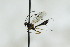  ( - CollHH2835)  @11 [ ] Creative Commons  Attribution Non-Commercial Share-Alike (2019) Hakon Haraldseide Unspecified