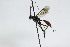  ( - CollHH2855)  @11 [ ] Creative Commons  Attribution Non-Commercial Share-Alike (2020) Hakon Haraldseide Unspecified