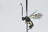  ( - CollHH2867)  @11 [ ] Creative Commons  Attribution Non-Commercial Share-Alike (2020) Hakon Haraldseide Unspecified