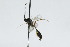  ( - CollHH2892)  @11 [ ] Creative Commons  Attribution Non-Commercial Share-Alike (2020) Hakon Haraldseide Unspecified