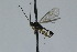  ( - CollHH2924)  @11 [ ] Creative Commons  Attribution Non-Commercial Share-Alike (2020) Hakon Haraldseide Unspecified