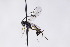  ( - CollHH2999)  @11 [ ] Creative Commons  Attribution Non-Commercial Share-Alike (2021) Hakon Haraldseide Unspecified