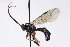  ( - CollHH3000)  @11 [ ] Creative Commons  Attribution Non-Commercial Share-Alike (2021) Hakon Haraldseide Unspecified