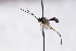  ( - CollHH3001)  @11 [ ] Creative Commons  Attribution Non-Commercial Share-Alike (2021) Hakon Haraldseide Unspecified