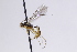  ( - CollHH3064)  @11 [ ] Creative Commons  Attribution Non-Commercial Share-Alike (2021) Hakon Haraldseide Unspecified