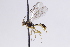  ( - CollHH3078)  @11 [ ] Creative Commons  Attribution Non-Commercial Share-Alike (2021) Hakon Haraldseide Unspecified