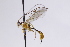  ( - CollHH3085)  @11 [ ] Creative Commons  Attribution Non-Commercial Share-Alike (2021) Hakon Haraldseide Unspecified