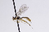  ( - CollHH3086)  @11 [ ] Creative Commons  Attribution Non-Commercial Share-Alike (2021) Hakon Haraldseide Unspecified
