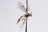  ( - CollHH3087)  @11 [ ] Creative Commons  Attribution Non-Commercial Share-Alike (2021) Hakon Haraldseide Unspecified