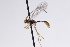  ( - CollHH3088)  @11 [ ] Creative Commons  Attribution Non-Commercial Share-Alike (2021) Hakon Haraldseide Unspecified