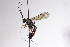  ( - CollHH3099)  @11 [ ] Creative Commons  Attribution Non-Commercial Share-Alike (2021) Hakon Haraldseide Unspecified