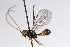  ( - CollHH3107)  @11 [ ] Creative Commons  Attribution Non-Commercial Share-Alike (2021) Hakon Haraldseide Unspecified