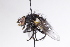  ( - CollHH3116)  @11 [ ] Creative Commons  Attribution Non-Commercial Share-Alike (2021) Hakon Haraldseide Unspecified