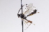  ( - CollHH3132)  @11 [ ] Creative Commons  Attribution Non-Commercial Share-Alike (2021) Hakon Haraldseide Unspecified