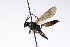  ( - CollHH3168)  @11 [ ] Creative Commons  Attribution Non-Commercial Share-Alike (2021) Hakon Haraldseide Unspecified