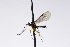  ( - CollHH3177)  @11 [ ] Creative Commons  Attribution Non-Commercial Share-Alike (2021) Hakon Haraldseide Unspecified