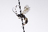  ( - CollHH3207)  @11 [ ] Creative Commons  Attribution Non-Commercial Share-Alike (2021) Hakon Haraldseide Unspecified