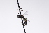  ( - CollHH3208)  @11 [ ] Creative Commons  Attribution Non-Commercial Share-Alike (2021) Hakon Haraldseide Unspecified