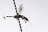  ( - CollHH3209)  @11 [ ] Creative Commons  Attribution Non-Commercial Share-Alike (2021) Hakon Haraldseide Unspecified