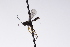  ( - CollHH3210)  @11 [ ] Creative Commons  Attribution Non-Commercial Share-Alike (2021) Hakon Haraldseide Unspecified