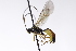 ( - CollHH3232)  @11 [ ] Creative Commons  Attribution Non-Commercial Share-Alike (2021) Hakon Haraldseide Unspecified