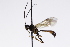  ( - CollHH3242)  @11 [ ] Creative Commons  Attribution Non-Commercial Share-Alike (2022) Hakon Haraldseide Unspecified