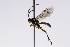  ( - CollHH3248)  @11 [ ] Creative Commons  Attribution Non-Commercial Share-Alike (2022) Hakon Haraldseide Unspecified