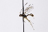  ( - CollHH3287)  @11 [ ] Creative Commons  Attribution Non-Commercial Share-Alike (2022) Hakon Haraldseide Unspecified