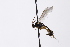  ( - CollHH3290)  @11 [ ] Creative Commons  Attribution Non-Commercial Share-Alike (2022) Hakon Haraldseide Unspecified