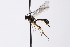  ( - CollHH3291)  @11 [ ] Creative Commons  Attribution Non-Commercial Share-Alike (2022) Hakon Haraldseide Unspecified