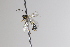  ( - CollHH3340)  @11 [ ] Creative Commons  Attribution Non-Commercial Share-Alike (2022) Hakon Haraldseide Unspecified