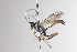  ( - CollHH3348)  @11 [ ] Creative Commons  Attribution Non-Commercial Share-Alike (2022) Hakon Haraldseide Unspecified
