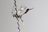  ( - CollHH3366)  @11 [ ] Creative Commons  Attribution Non-Commercial Share-Alike (2022) Hakon Haraldseide Unspecified