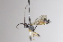  ( - CollHH3375)  @11 [ ] Creative Commons  Attribution Non-Commercial Share-Alike (2022) Hakon Haraldseide Unspecified