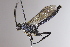  ( - CollHH3376)  @11 [ ] Creative Commons  Attribution Non-Commercial Share-Alike (2022) Hakon Haraldseide Unspecified