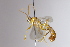  ( - CollHH3381)  @11 [ ] Creative Commons  Attribution Non-Commercial Share-Alike (2022) Hakon Haraldseide Unspecified