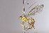  ( - CollHH3382)  @11 [ ] Creative Commons  Attribution Non-Commercial Share-Alike (2022) Hakon Haraldseide Unspecified