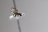  ( - CollHH3414)  @11 [ ] Creative Commons  Attribution Non-Commercial Share-Alike (2022) Hakon Haraldseide Unspecified