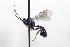 ( - CollHH3424)  @11 [ ] Creative Commons  Attribution Non-Commercial Share-Alike (2022) Hakon Haraldseide Unspecified